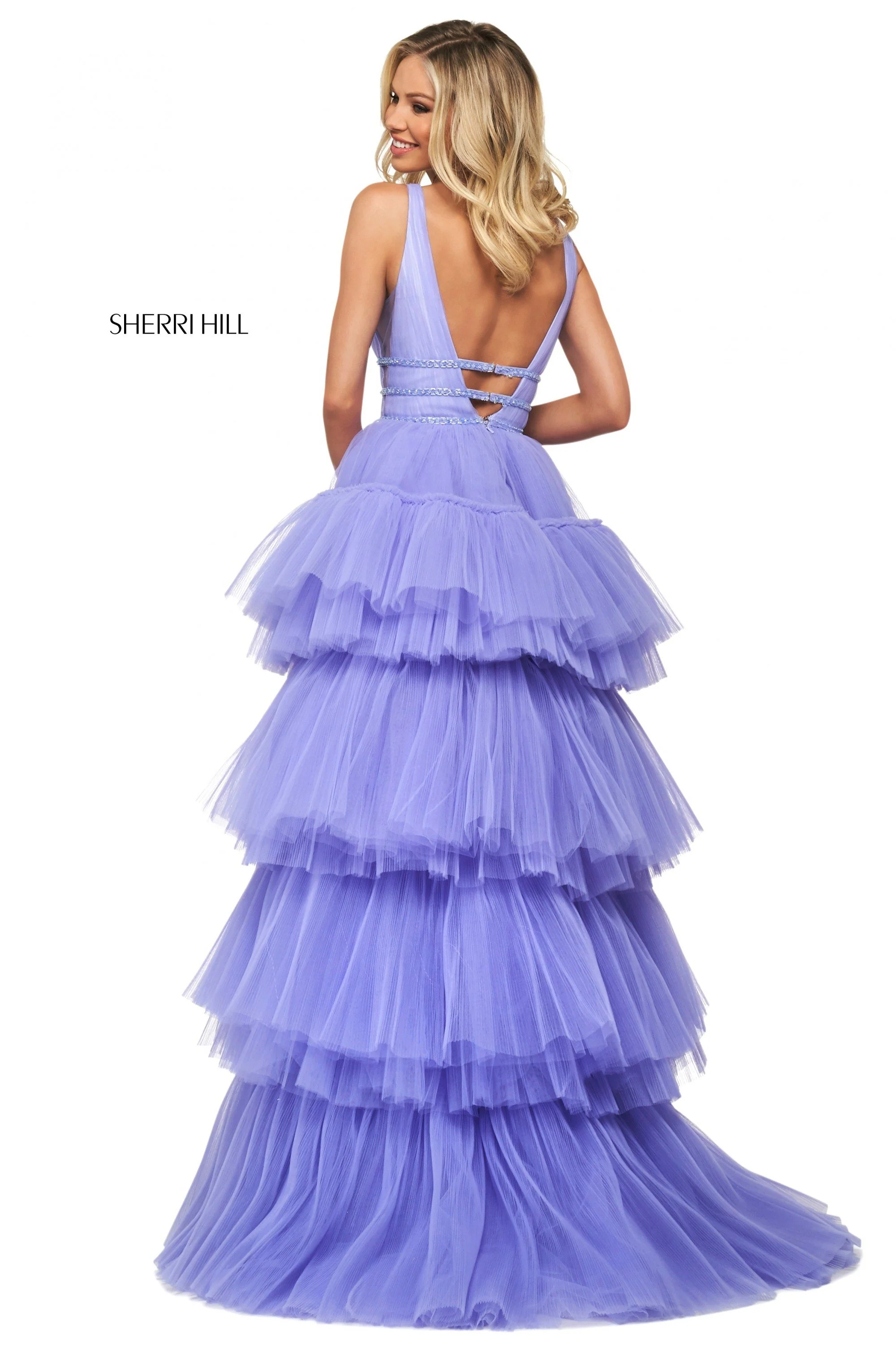 53733 - Image 2