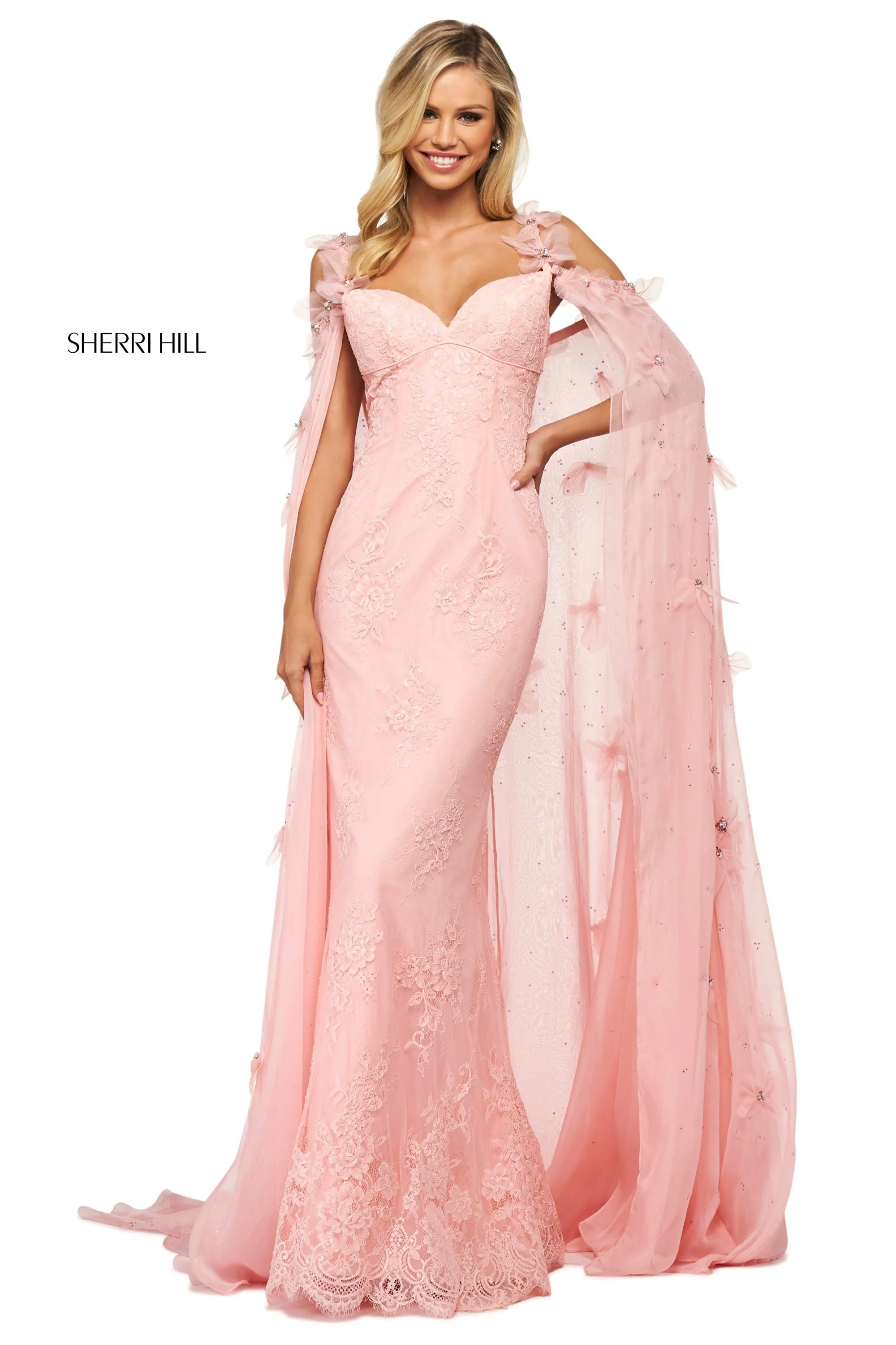 53822 - Image 2