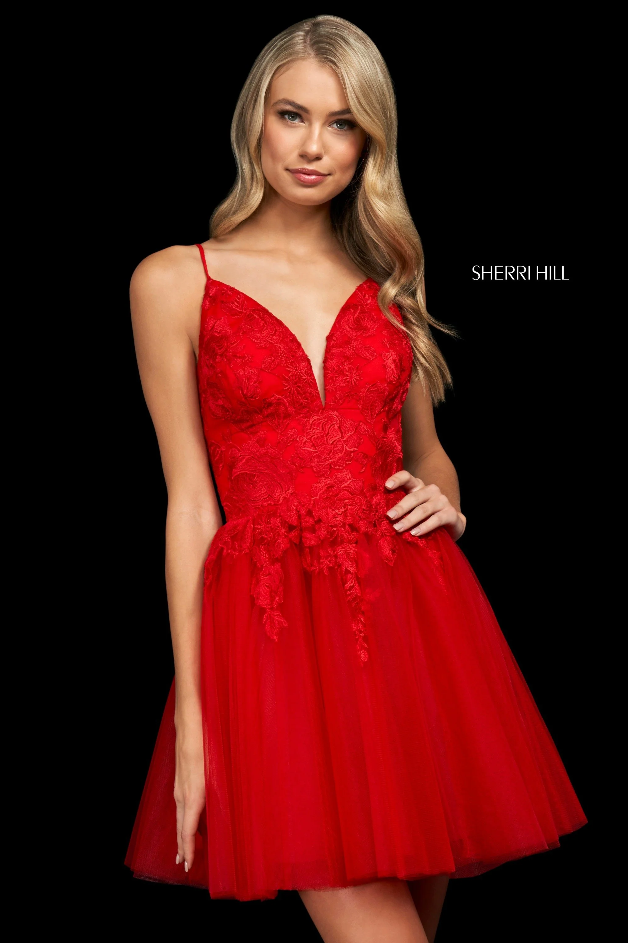 53975 - Image 4