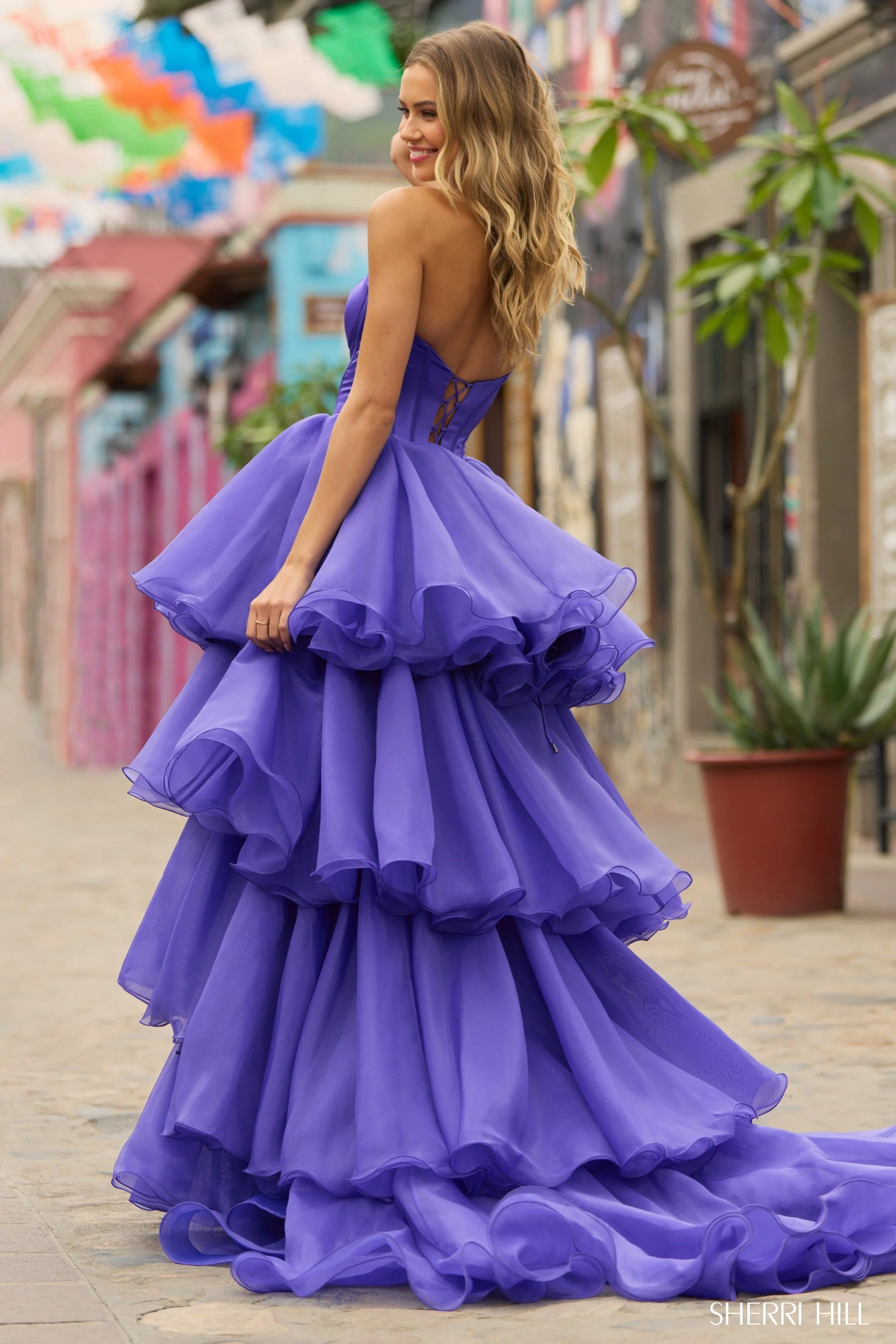 55569 - Image 2